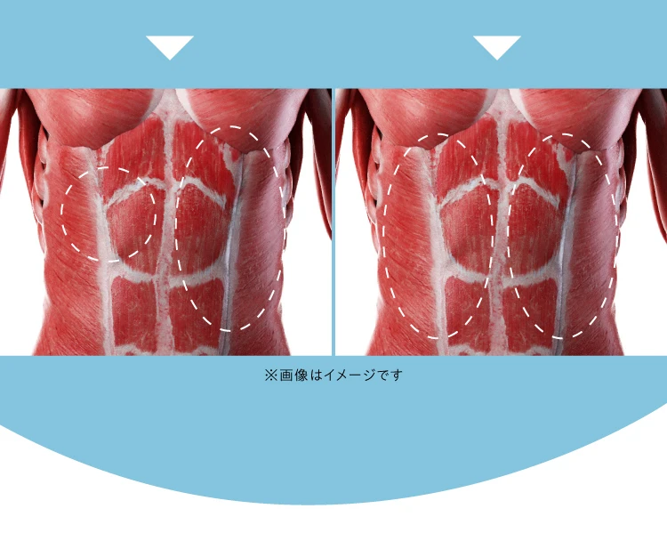 使用イメージ比較　筋肉イメージ