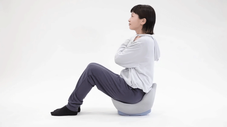 ヨガバランス腹筋チェア Circle balance(サークルバランス ヨガバランス腹筋チェア Circle balance(サークルバランス