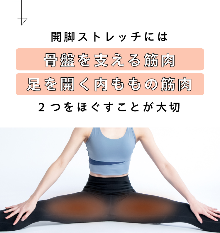 開脚ストレッチには骨盤を支える筋肉足を開く内ももの筋肉2つをほぐすことが大切です