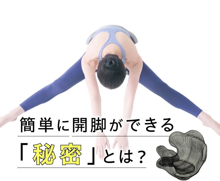 公式】ヨガバランス開脚チェア Circle balance(サークルバランス