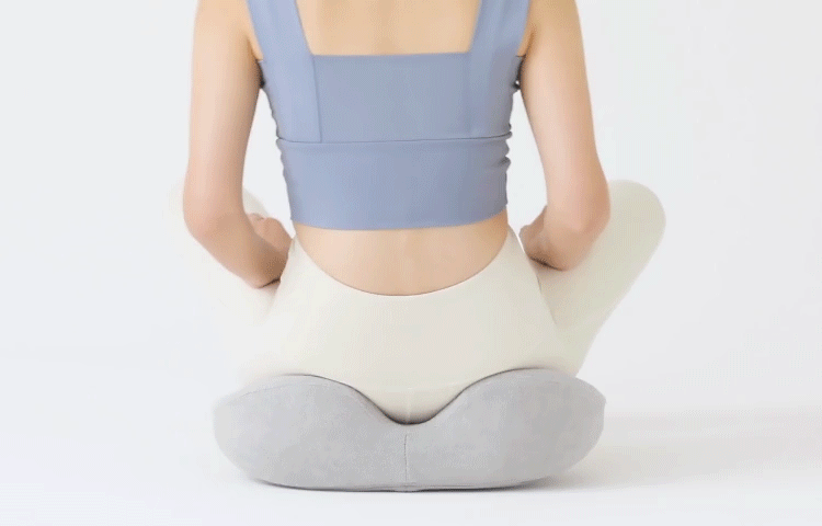ヨガバランス骨盤クッション Circle balance(サークルバランス