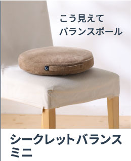 シークレットバランスミニ