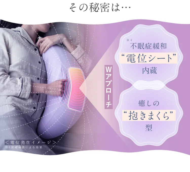 その秘密は不眠症緩和電位シート内臓 癒しの抱き枕型