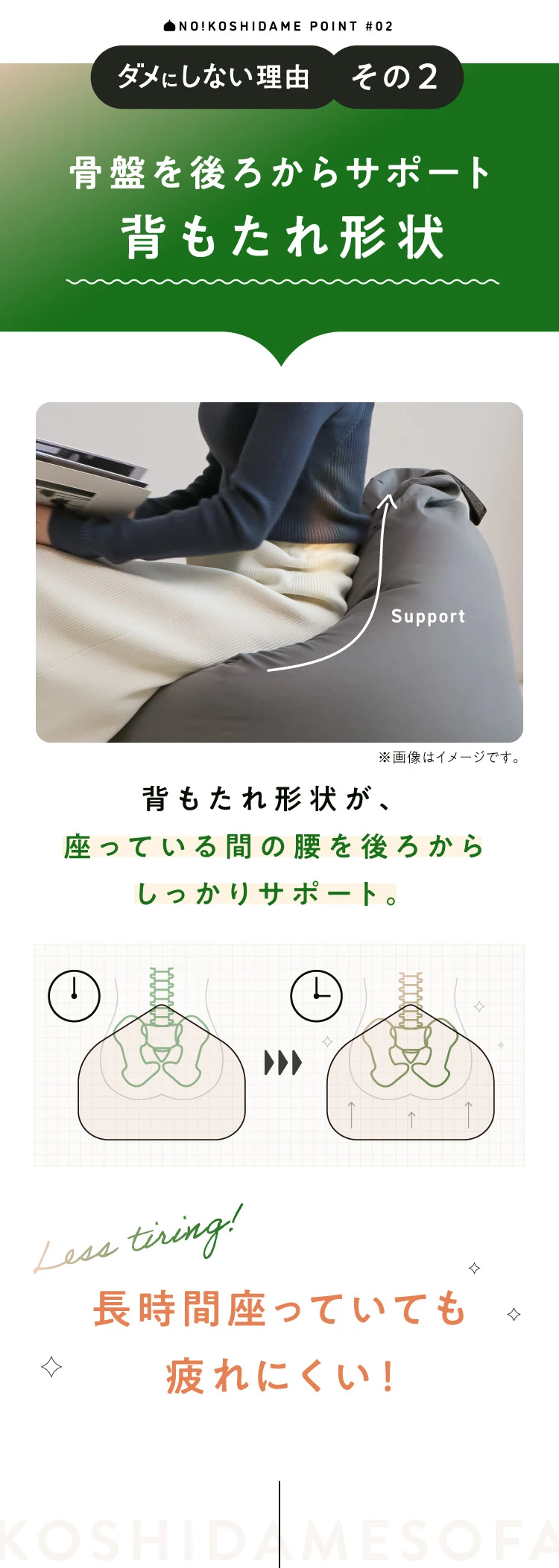 骨盤を後ろからサポート 背もたれ形状