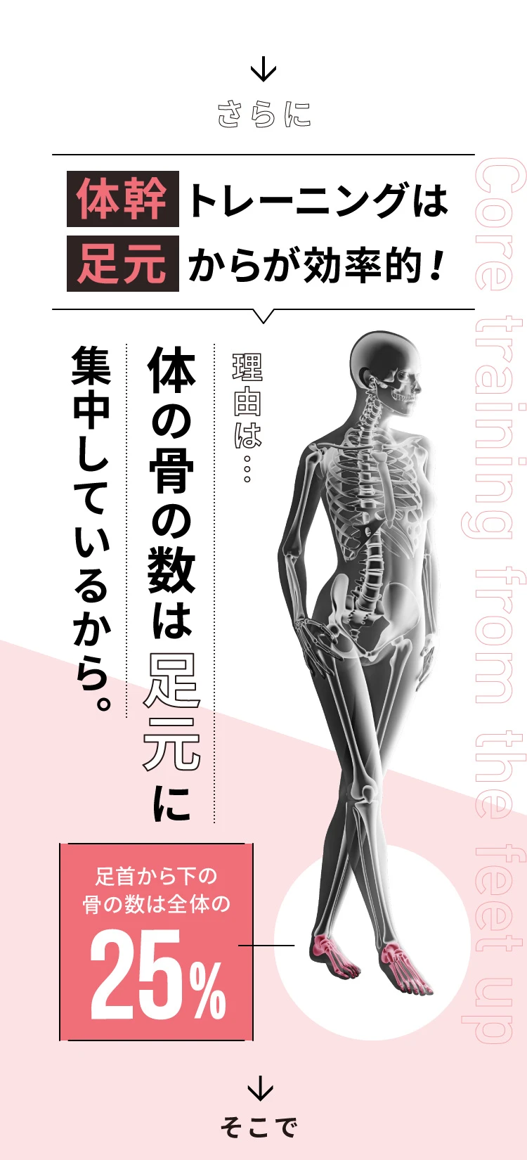 さらに、体幹トレーニングは足元からが効率的!