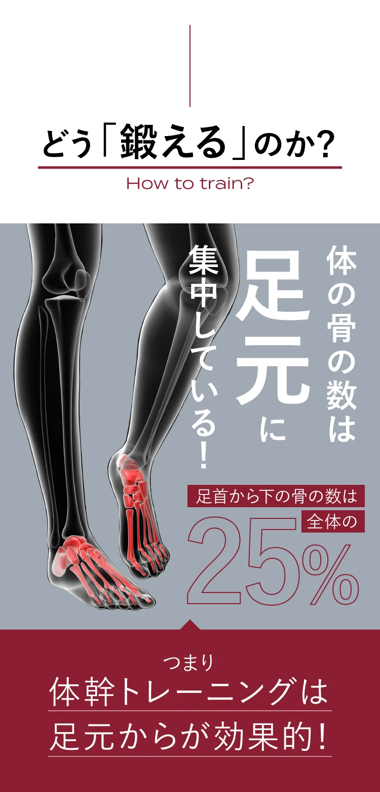 【大幅値下げ】 BEAXIS バランスコアミュール　黒白セット　2L ☆バラ売可 大幅値下げ】 BEAXIS バランスコアミュール 黒白セット 2L