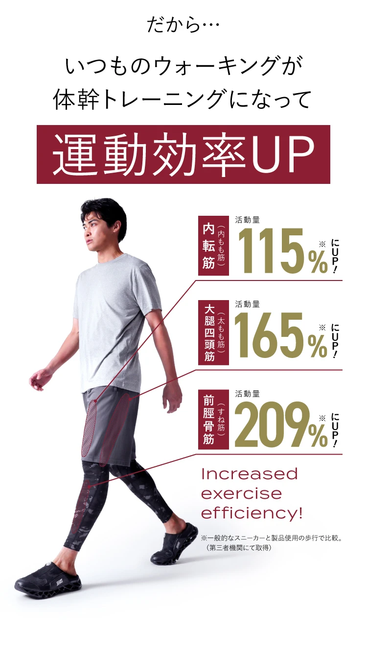 だから…いつものウォーキングが体幹トレーニングになって運動効率UP 内転筋115％にUP・大腿四頭筋165％にUP・前脛骨筋209％にUP