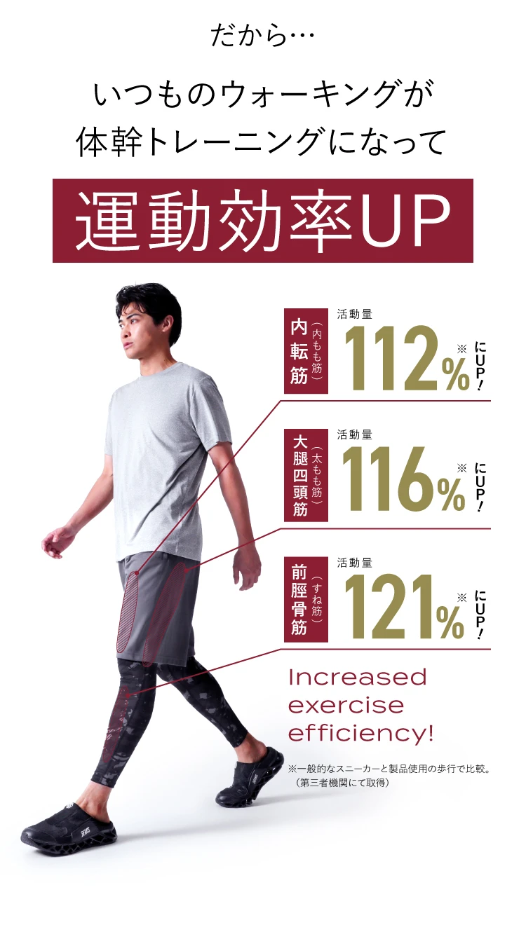 だから…いつものウォーキングが体幹トレーニングになって運動効率UP 内転筋115％にUP・大腿四頭筋116％にUP・前脛骨筋121％にUP