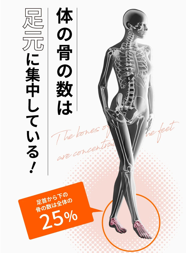 体の骨の数は足元に集中している