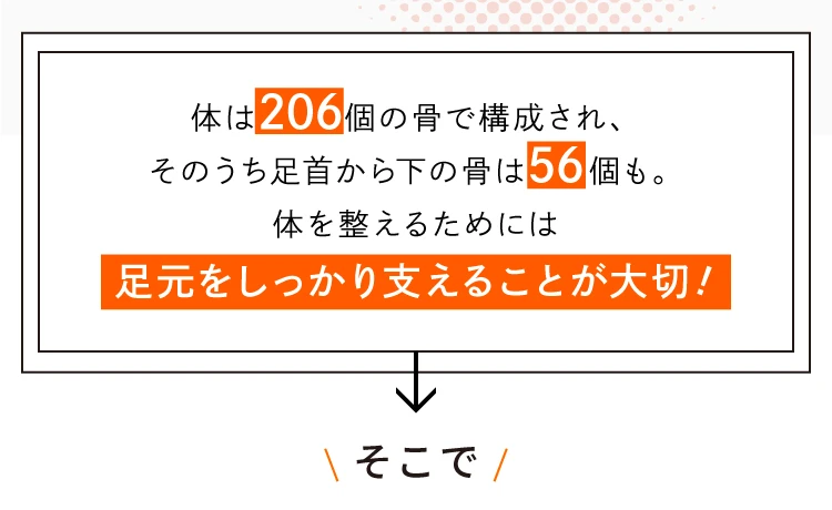 体は206個の骨で構成され、そのうち足首から下の骨は56個も。