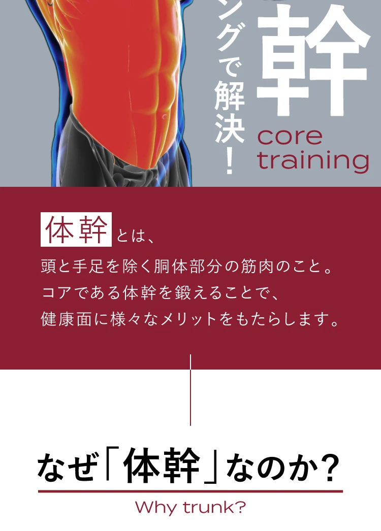 体幹とは、頭と手足を除く胴体部分の筋肉のこと。コアである体幹を鍛えることで、健康面に様々なメリットをもたらします。