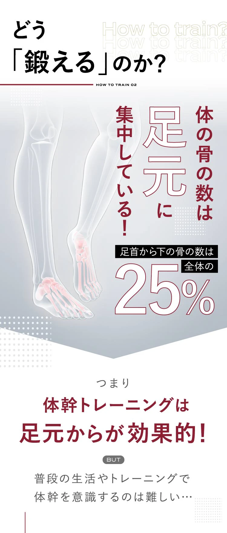 体の骨の数は足元に集中している！