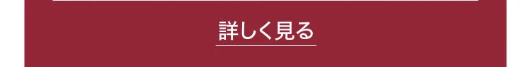 もっと詳しく見る