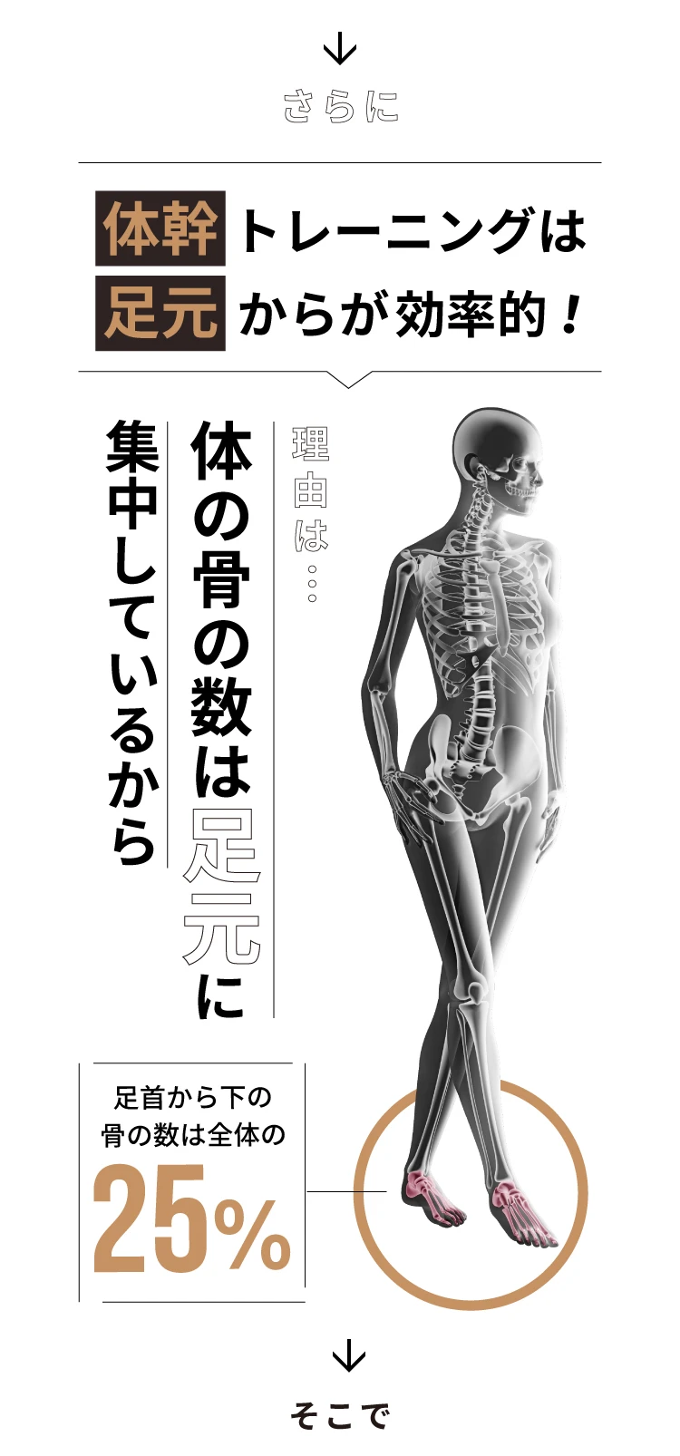 体の骨の数は足元に集中しているから、体幹トレーニングは足元からが効果的！