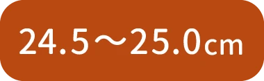 24.5〜25.0cm