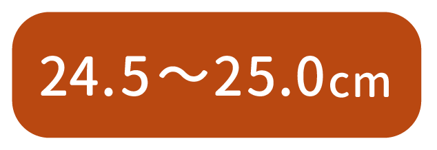 24.5〜25.0cm