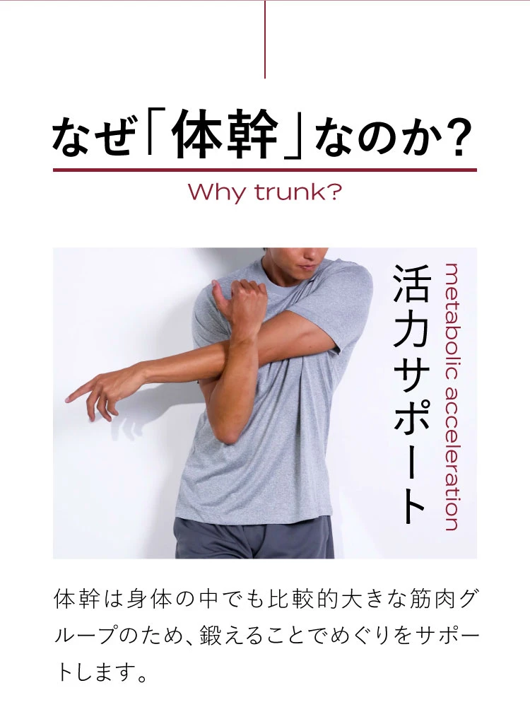 代謝促進　全身の筋肉活動量の増加