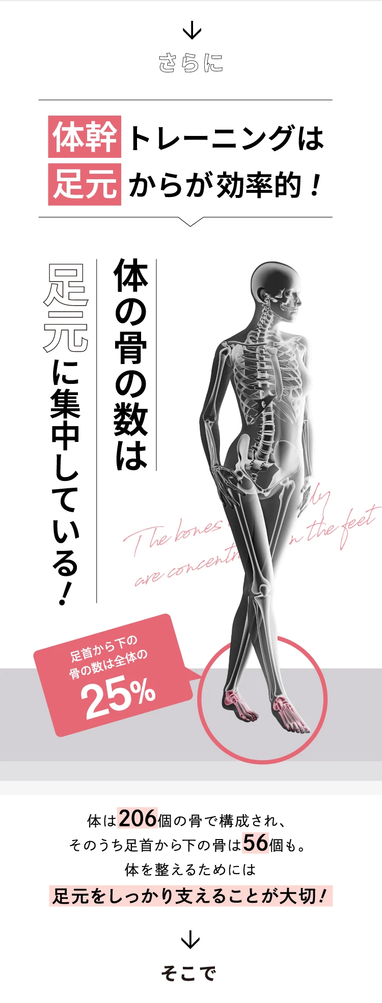 さらに体幹トレーニングは足元からが効率的！