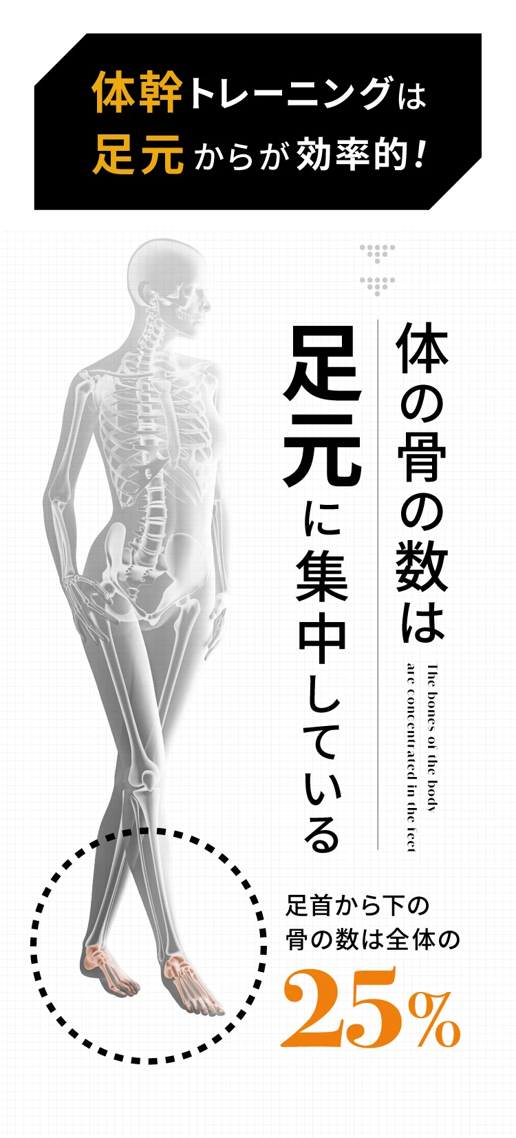 体の骨の数は足元に集中している