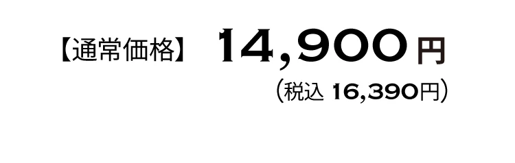 ヒールコアスニーカー 商品価格