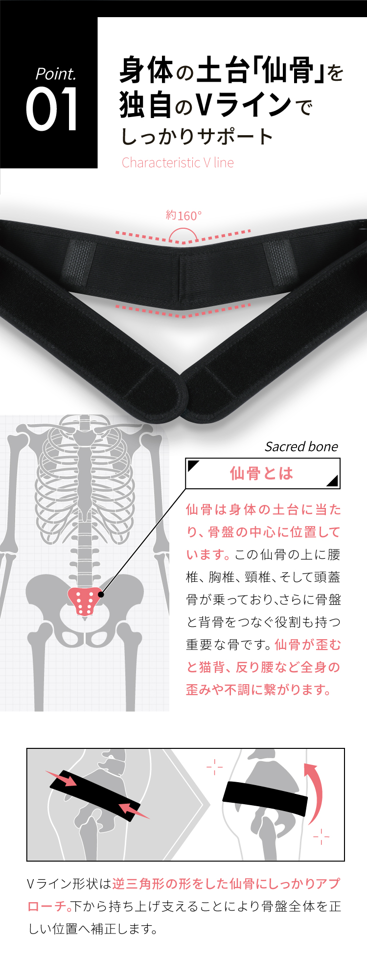 01　身体の土台「仙骨」を独自のVラインでしっかりサポート　Vライン形状は逆三角形の形をした仙骨にしっかりアプローチ。下から持ち上げ支えることにより骨盤全体を正しい位置へ補正します。