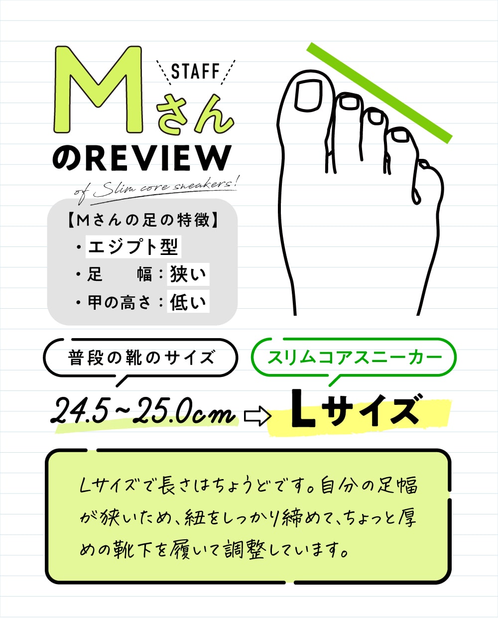 24.5〜25.0cm、足幅は狭く甲の高さは低いエジプト型。スリムコアスニーカーはLサイズがちょうどいい。