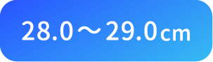 28.0〜29.0cm