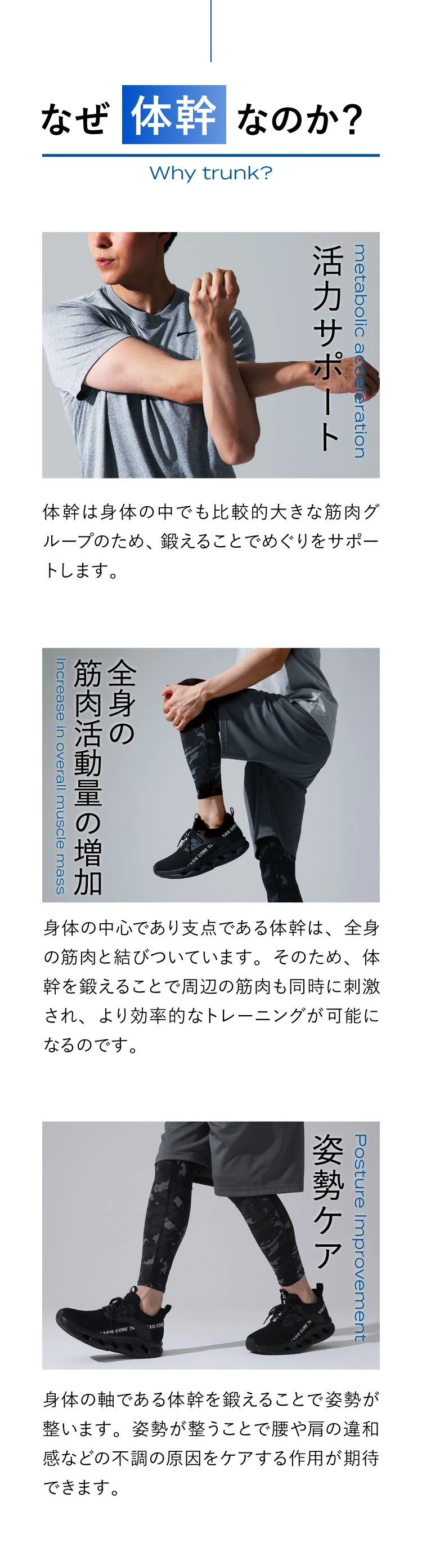 なぜ体幹なのか
