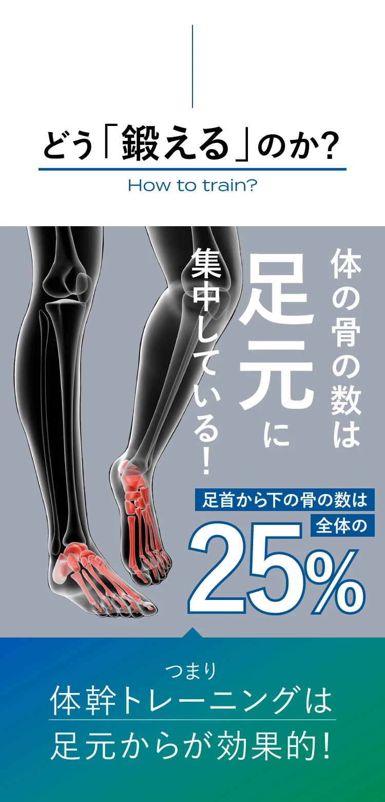 どう「鍛える」のか体の骨の数は足元に集中している