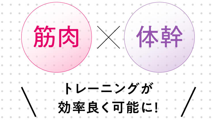 筋肉×体幹トレーニングが効率よく可能に