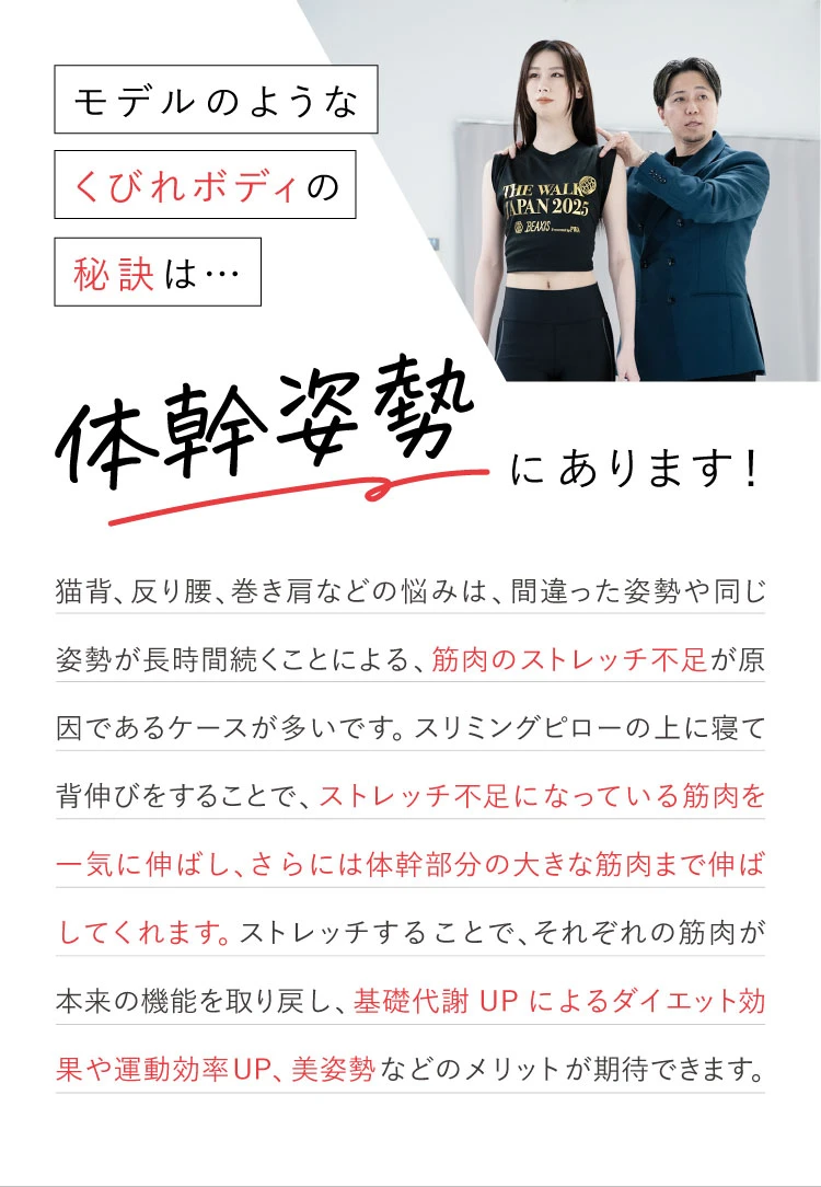 モデルのようなくびれボディの秘訣は、体幹姿勢にあります！