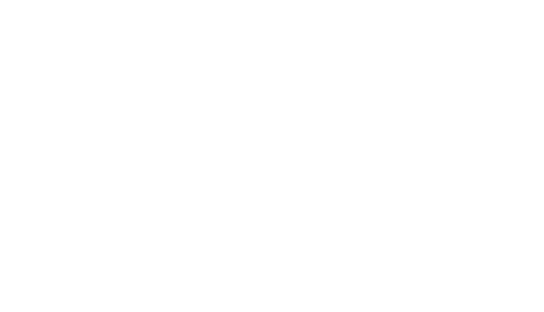 BEAXIS PRO