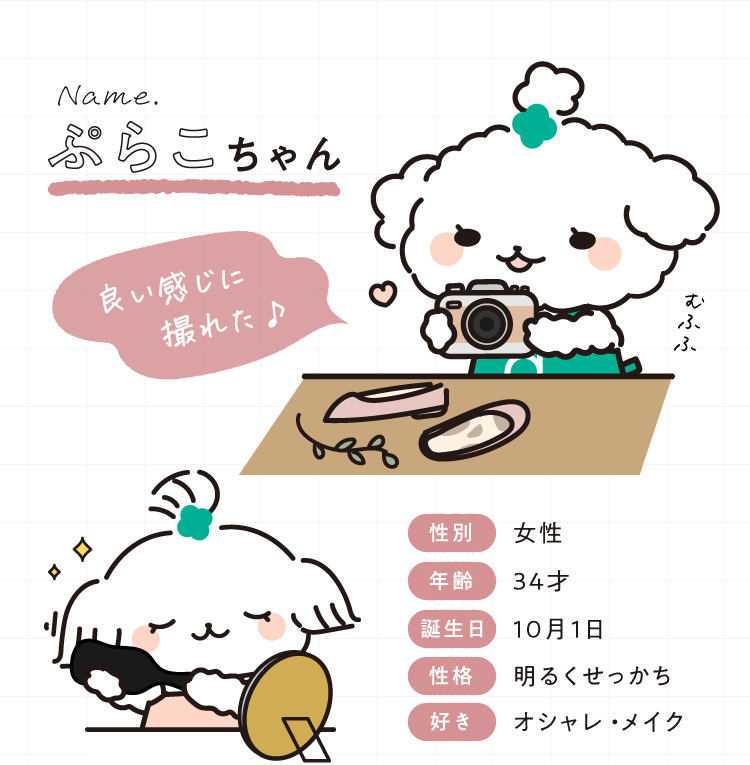 ぷらこちゃん