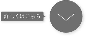 もっと詳しく見る