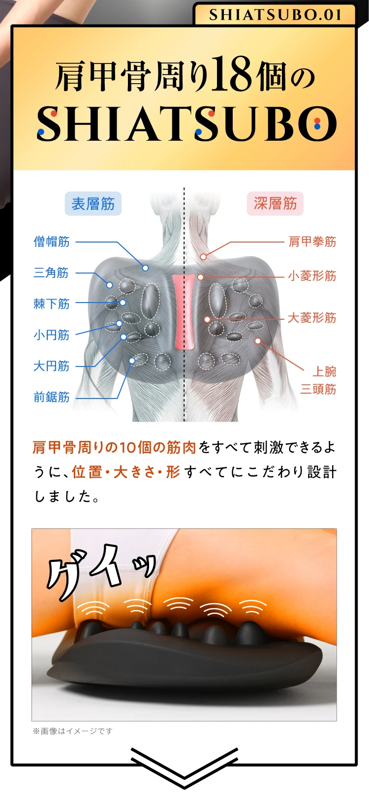 肩甲骨周り18個のSHIATSUBO