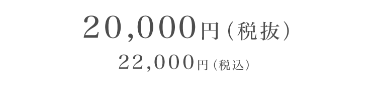 プレーン商品価格