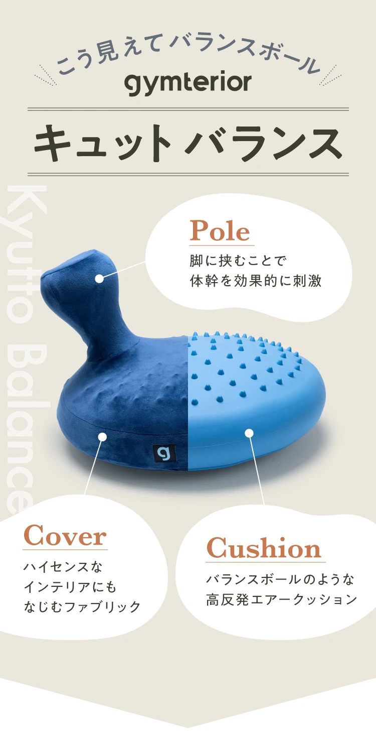 【空気入れ付属】ジムテリア gymterior シークレットバランス gymterior バランスクッション バランスディスク JOURNAL