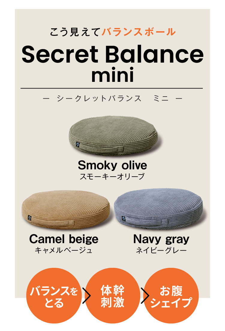 こう見えてバランスボール Secret Balance mini ー シークレットバランスミニ ー