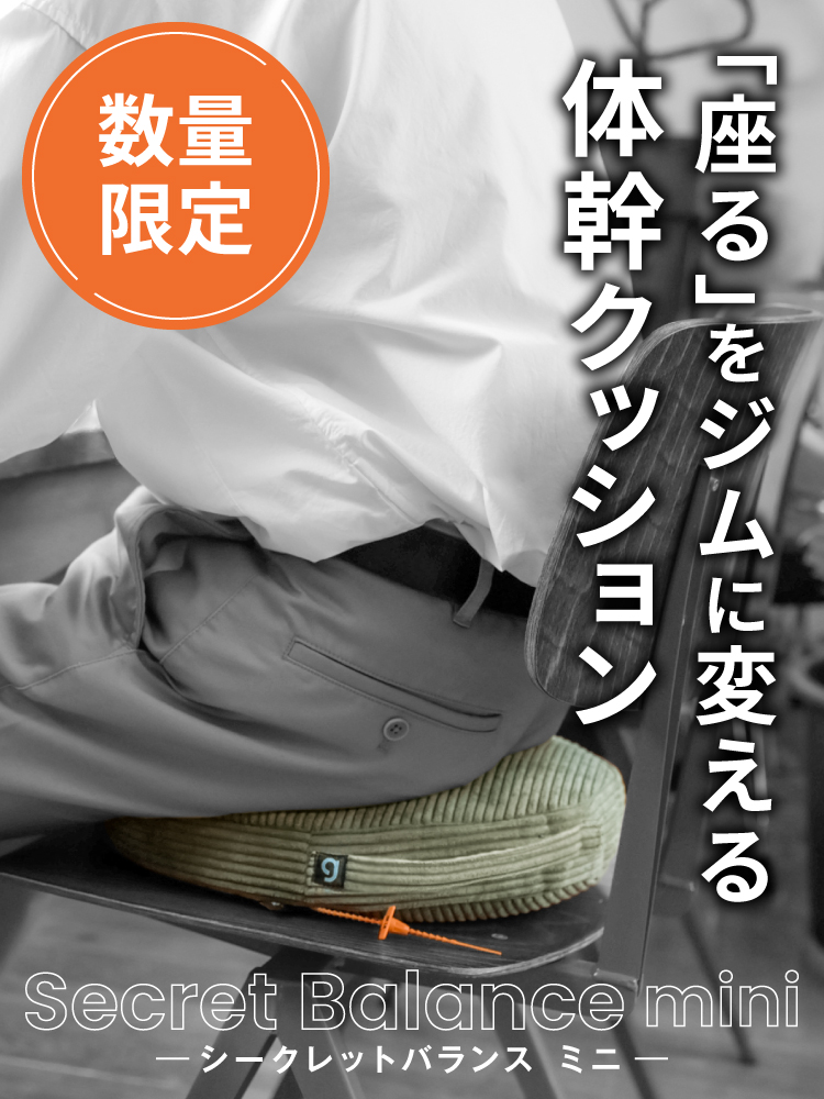 座るをジムに変える「シークレットバランス ミニ」