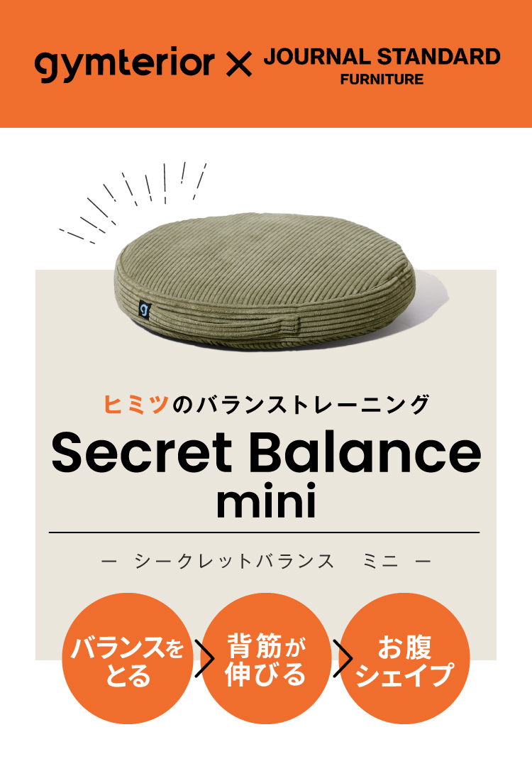 gymterior シークレットバランス mini - トレーニング用品