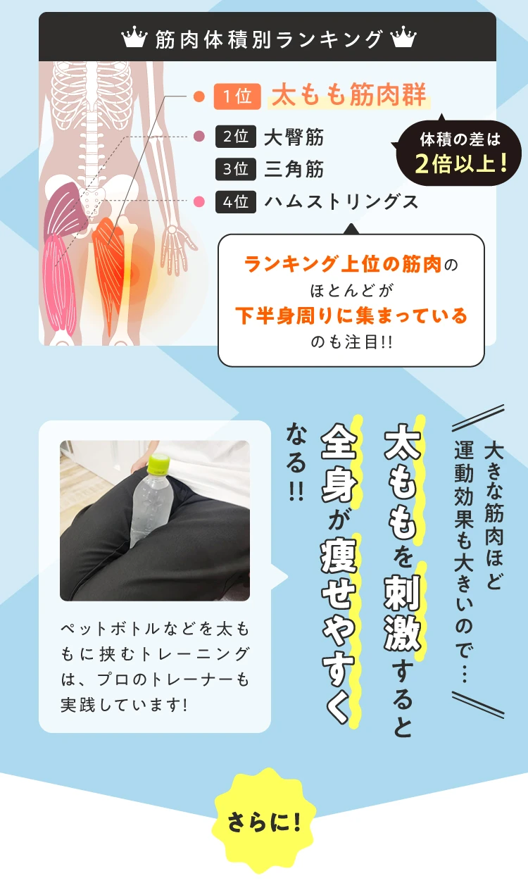 シェイクボックス gymterior(ジムテリア) Amazon | [gymterior] [ジムテリア] シェイクボックス