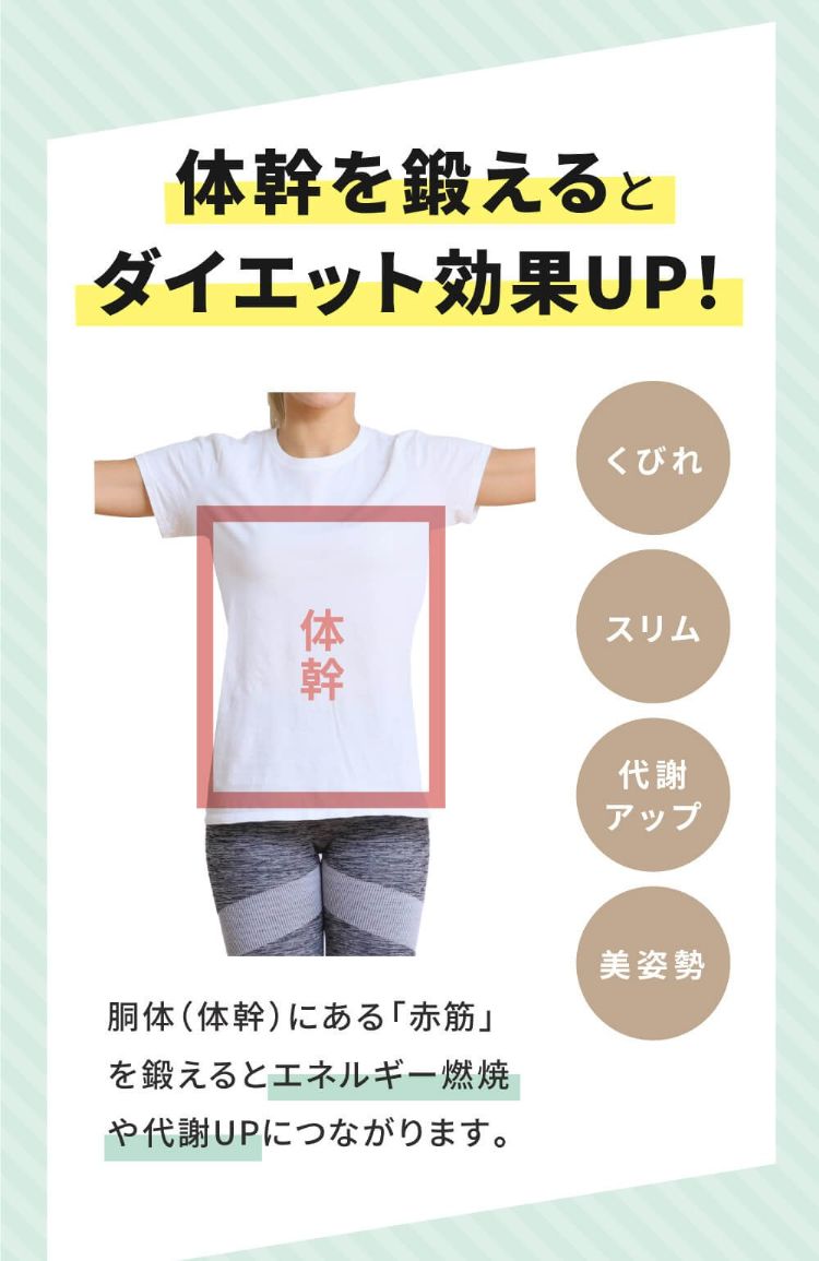 体幹を鍛えるとダイエット効果がUP！