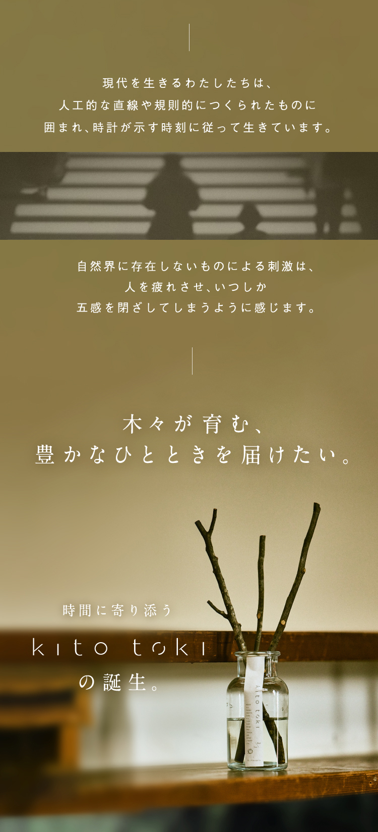 現代に生きるわたしたちに木々が育む豊かなひとときを届けたい、という思いからkito tokiは生まれました