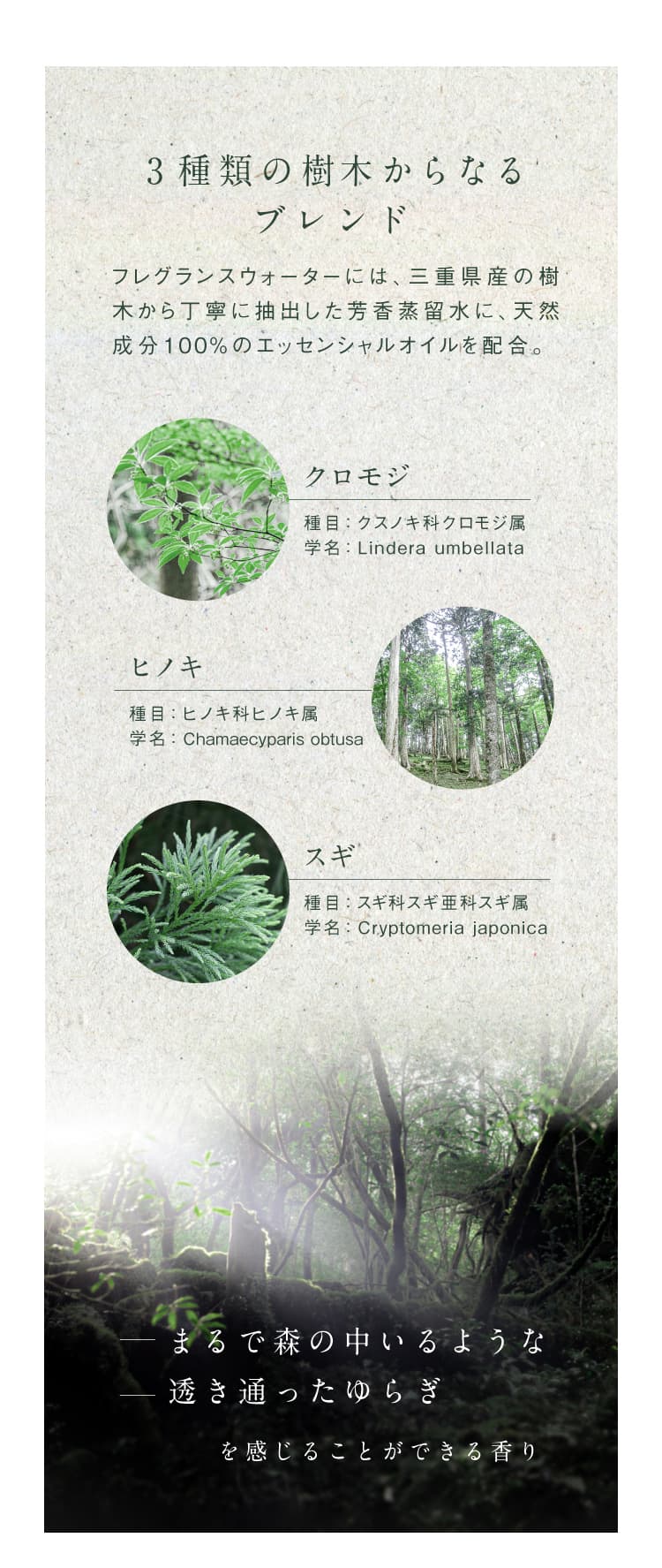 フレグランスウォーターは、3種類の樹木からなるブレンド。天然成分100%のエッセンシャルオイルを配合。