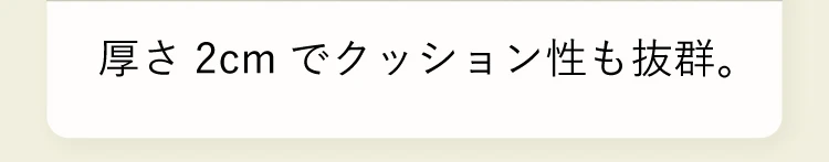 厚さ2cm でクッション性も抜群。