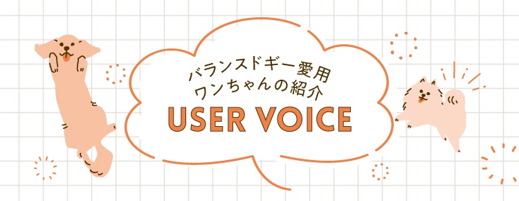 バランスドギー愛用ワンちゃんの紹介