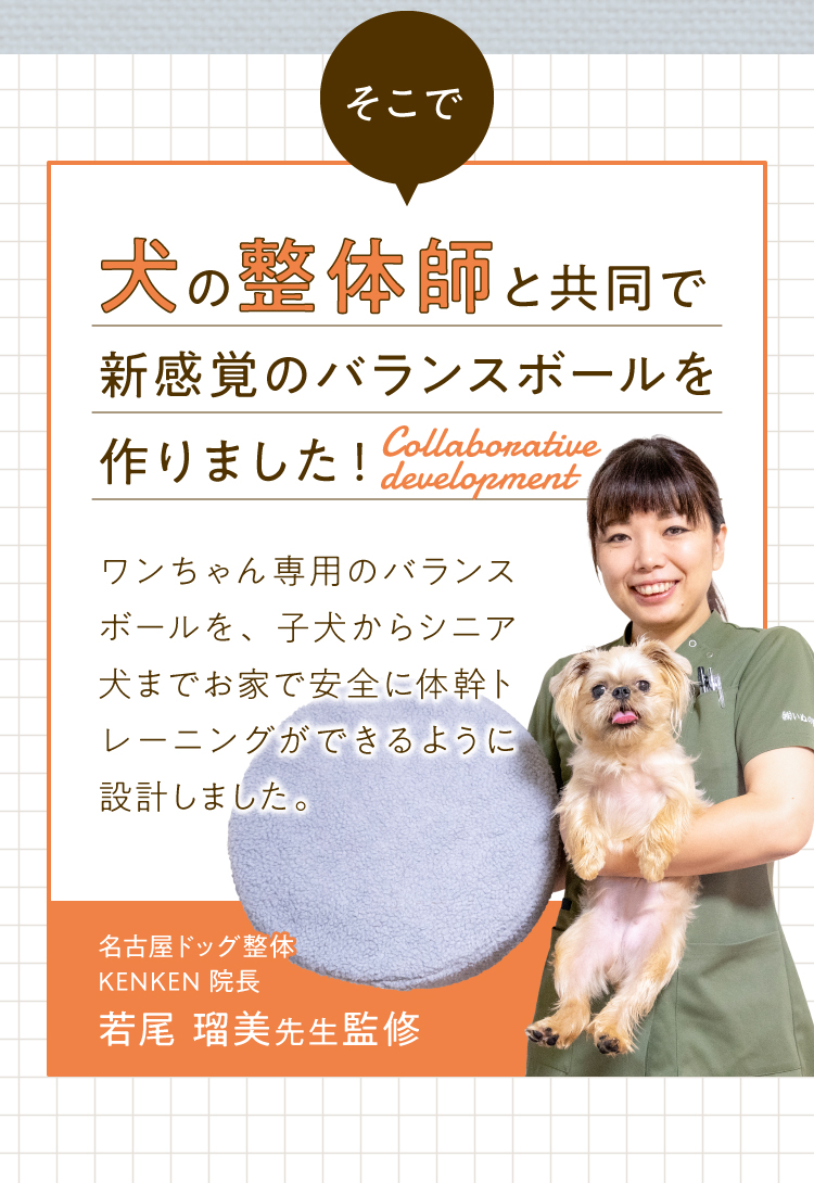 犬の整体師と共同で新感覚のバランスボールを作りました！