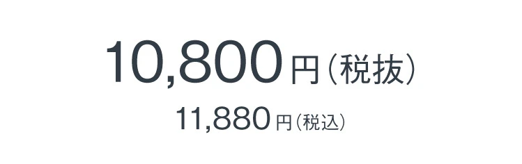 カラー整体ビットローファー 商品価格