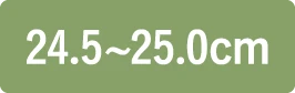 24.5〜25.0cm