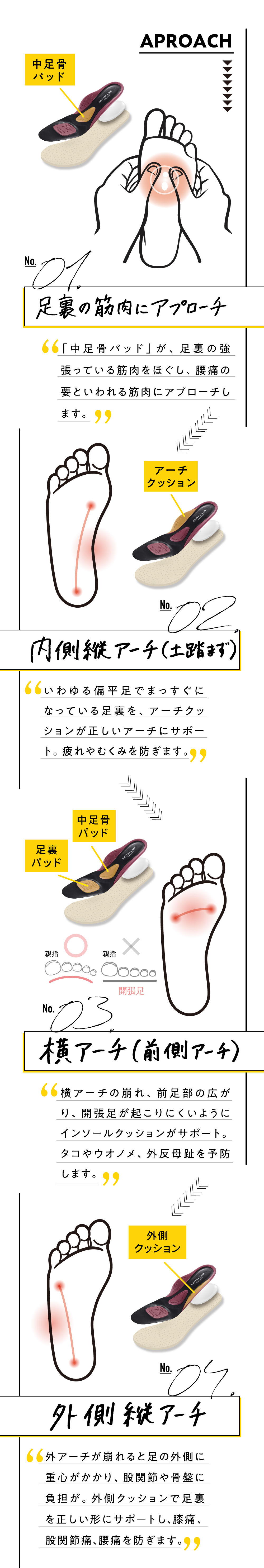足裏の筋肉にアプローチ・内側縦アーチ・横アーチ・外側縦アーチ